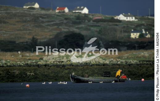 Pêcheur à Kilkieran Bay. - © Philip Plisson / Plisson La Trinité / AA02494 - Nos reportages photos - Pêcheur