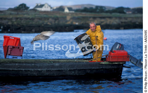 Pêcheur remontant ses casiers. - © Philip Plisson / Plisson La Trinité / AA02495 - Nos reportages photos - Pêcheur