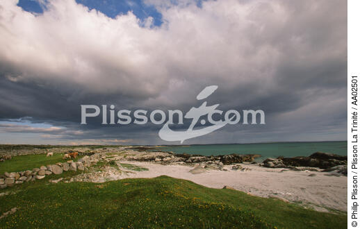 Paysage à Carna. - © Philip Plisson / Plisson La Trinité / AA02501 - Photo Galleries - Connemara [The]