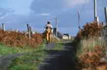 Marin sur une route irlandaise. © Philip Plisson / Plisson La Trinité / AA02517 - Photo Galleries - Job