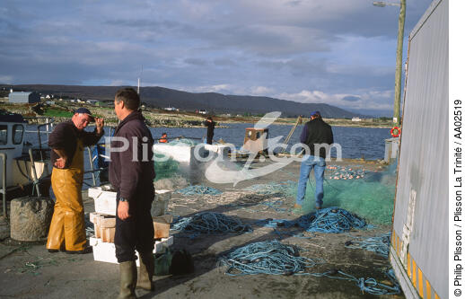 Pêcheur en Irlande. - © Philip Plisson / Plisson La Trinité / AA02519 - Nos reportages photos - Métier