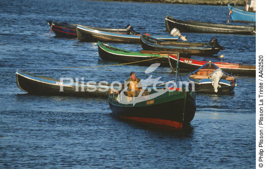 Pêcheur dans sa barque. - © Philip Plisson / Plisson La Trinité / AA02520 - Photo Galleries - Job