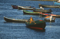 Pêcheur dans sa barque. © Philip Plisson / Plisson La Trinité / AA02520 - Nos reportages photos - Irlande, l'île verte