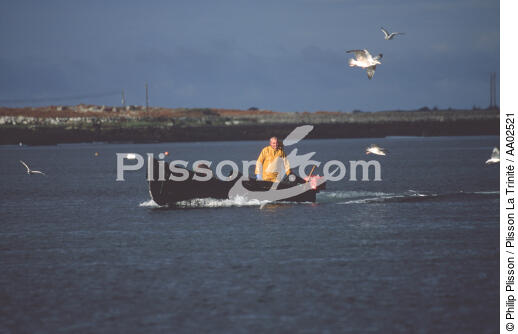 Pêcheur en Irlande. - © Philip Plisson / Plisson La Trinité / AA02521 - Nos reportages photos - Métier