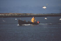 Pêcheur en Irlande. © Philip Plisson / Plisson La Trinité / AA02521 - Nos reportages photos - Bateau à rames