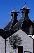 La distillerie Busmill est la plus ancienne au monde. © Philip Plisson / Plisson La Trinité / AA02557 - Nos reportages photos - Irlande, l'île verte