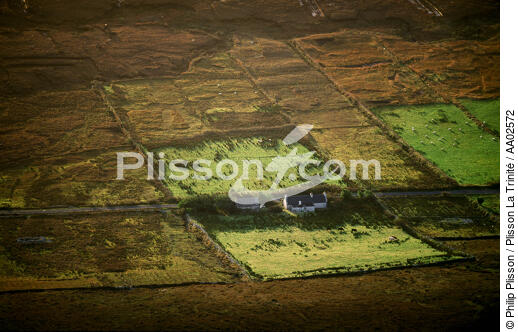 Paysage irlandais - © Philip Plisson / Plisson La Trinité / AA02572 - Nos reportages photos - Irlande, l'île verte