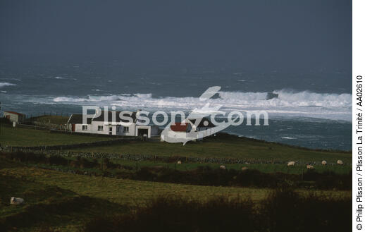 Paysage irlandais. - © Philip Plisson / Plisson La Trinité / AA02610 - Photo Galleries - Sheep