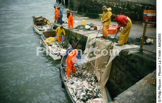 Retour de pêche. - © Philip Plisson / Plisson La Trinité / AA02655 - Nos reportages photos - Pêcheur