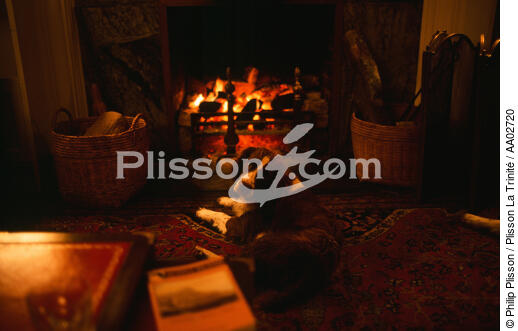 Chien devant un feu de cheminée. - © Philip Plisson / Plisson La Trinité / AA02720 - Nos reportages photos - Chien