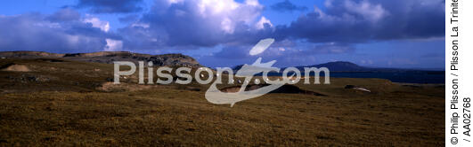 Paysage à Slyne Head. - © Philip Plisson / Plisson La Trinité / AA02768 - Photo Galleries - Sheep