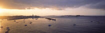 Le Port de Roscoff à marée haute. © Philip Plisson / Plisson La Trinité / AA02801 - Photo Galleries - Horizontal panoramic