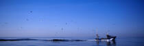 Route de pêche, Yvon Le Fur de Houat. © Philip Plisson / Plisson La Trinité / AA02804 - Photo Galleries - Blue sky