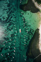 Archipel des Glénan. © Philip Plisson / Plisson La Trinité / AA02858 - Nos reportages photos - Fond marin