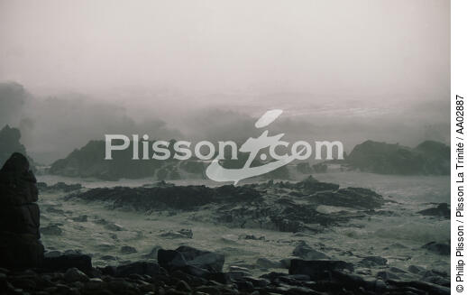 Gros temps sur la côte. - © Philip Plisson / Plisson La Trinité / AA02887 - Nos reportages photos - Brume