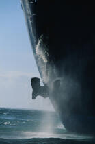 Le Norway jete l'ancre © Philip Plisson / Plisson La Trinité / AA02952 - Photo Galleries - Big Cruises