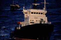 L'Abeille Flandre en pleine action © Philip Plisson / Plisson La Trinité / AA03134 - Nos reportages photos - Transport maritime