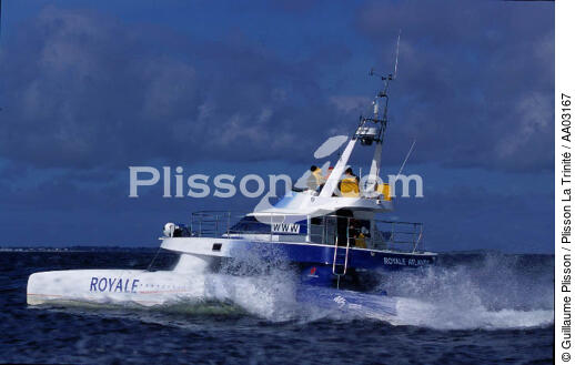 Royale Production suit tous les grands prix - © Guillaume Plisson / Plisson La Trinité / AA03167 - Nos reportages photos - Catamaran de course