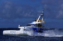 Royale Production suit tous les grands prix © Guillaume Plisson / Plisson La Trinité / AA03167 - Photo Galleries - Ocean racing catamaran