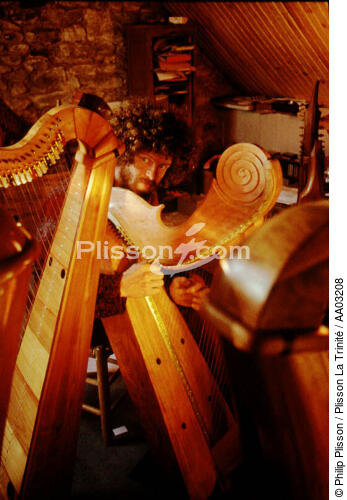 Luthier - © Philip Plisson / Plisson La Trinité / AA03208 - Nos reportages photos - Instrument