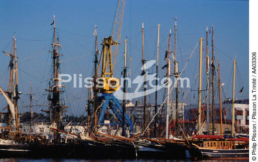 Vieux voiliers au port de Brest - © Philip Plisson / Plisson La Trinité / AA03306 - Nos reportages photos - Les grands rassemblements de Brest