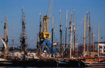 Vieux voiliers au port de Brest © Philip Plisson / Plisson La Trinité / AA03306 - Photo Galleries - Brest 2000
