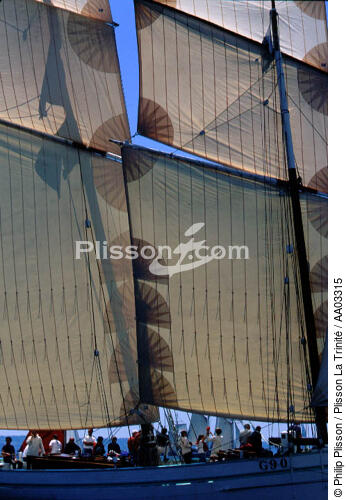 La Granvillaise - © Philip Plisson / Plisson La Trinité / AA03315 - Photo Galleries - Bisquine : typical Breton boat used for fishing