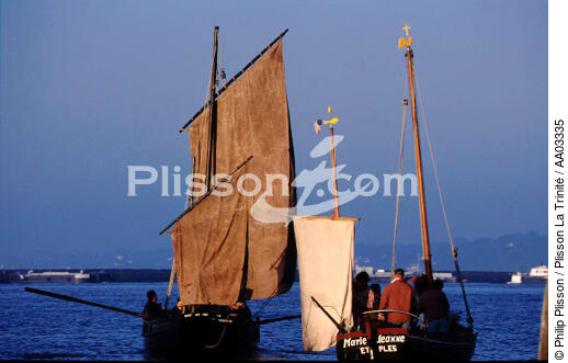 Retour au port en fin de journée pour ces voilier de travail - © Philip Plisson / Plisson La Trinité / AA03335 - Nos reportages photos - Rassemblement