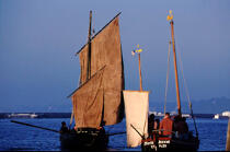 Retour au port en fin de journée pour ces voilier de travail © Philip Plisson / Plisson La Trinité / AA03335 - Photo Galleries - Brest 2000