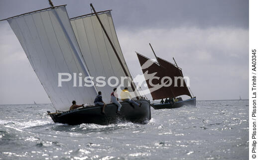Sinagos dans le Golfe du Morbihan. - © Philip Plisson / Plisson La Trinité / AA03345 - Nos reportages photos - Morbihan [Golfe du]