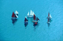 Régate de vieux gréements sur les cotes anglaises © Philip Plisson / Plisson La Trinité / AA03347 - Nos reportages photos - Yachting