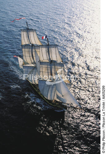 Les HMS Rose - © Philip Plisson / Plisson La Trinité / AA05299 - Photo Galleries - Three-masted frigate