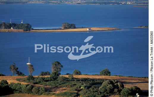 L'ile Iluric - © Philip Plisson / Plisson La Trinité / AA03360 - Nos reportages photos - Morbihan [Golfe du]