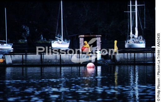 Pisiculture en rivière d'Auray. - © Philip Plisson / Plisson La Trinité / AA03435 - Nos reportages photos - Morbihan [Golfe du]