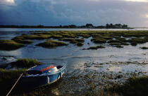 Paysage à marée basse. © Philip Plisson / Plisson La Trinité / AA03445 - Nos reportages photos - Morbihan [Golfe du]