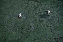 Rayons d'évitage. © Philip Plisson / Plisson La Trinité / AA03451 - Photo Galleries - Low tide