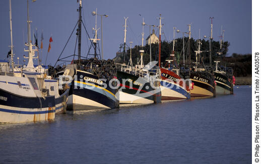 Port de pêche de Roscoff. - © Philip Plisson / Plisson La Trinité / AA03578 - Nos reportages photos - Bateau de pêche