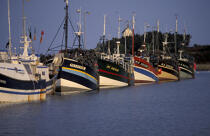 Port de pêche de Roscoff. © Philip Plisson / Plisson La Trinité / AA03578 - Photo Galleries - Registration
