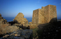 Ruines sur les Sept Iles © Philip Plisson / Plisson La Trinité / AA03763 - Nos reportages photos - Monument historique