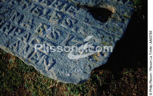 Tombe sur les Sept Iles - © Philip Plisson / Plisson La Trinité / AA03765 - Nos reportages photos - Enseigne