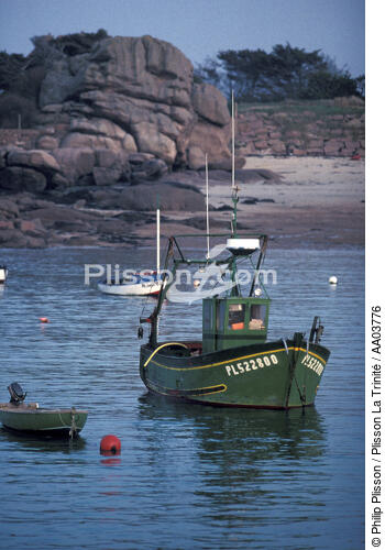 Bateau de pêche au mouillage - © Philip Plisson / Plisson La Trinité / AA03776 - Photo Galleries - Local fishing in small boats