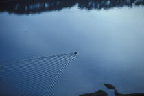 Reflet sur le Trieux. © Guillaume Plisson / Plisson La Trinité / AA03594 - Photo Galleries - Wake