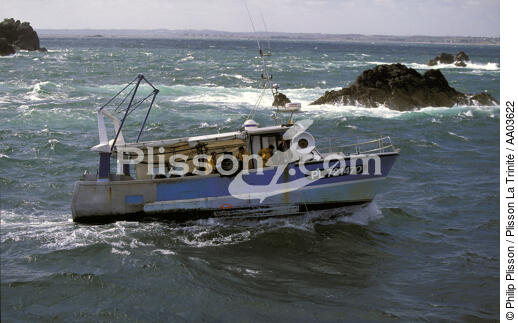 Caseyeur de paimpol. - © Philip Plisson / Plisson La Trinité / AA03622 - Nos reportages photos - Pêche