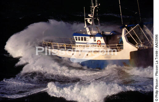 Le Cèdre Bleu, chalutier de lorient - © Philip Plisson / Plisson La Trinité / AA03996 - Nos reportages photos - Bateau de pêche