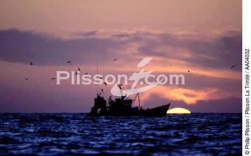 La pêche continue au lever du soleil - © Philip Plisson / Plisson La Trinité / AA04032 - Nos reportages photos - Astre