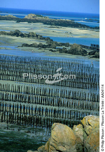 Parc à moules à Chausey. - © Philip Plisson / Plisson La Trinité / AA04114 - Photo Galleries - Mussel breeding