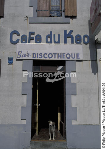 Chien à la porte d'un bar. - © Philip Plisson / Plisson La Trinité / AA04129 - Nos reportages photos - Porte