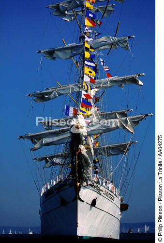 Le Cuauhtemoc. - © Philip Plisson / Plisson La Trinité / AA04275 - Photo Galleries - Three-masted ship