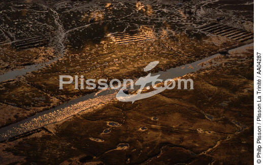 Bassin d'Arcachon. - © Philip Plisson / Plisson La Trinité / AA04287 - Photo Galleries - Site of interest [33]