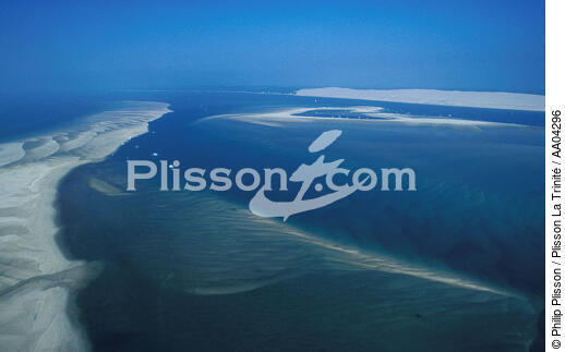 Le Banc d'Arguin. - © Philip Plisson / Plisson La Trinité / AA04296 - Nos reportages photos - Dune